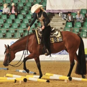 Raisin-My-Dress-2015-FQH_0987