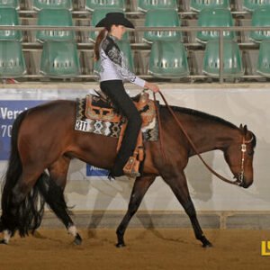 HC-Wisely-On-Top-BSC-ba2628c2