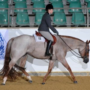 IS3_8192-Good-But-Hot