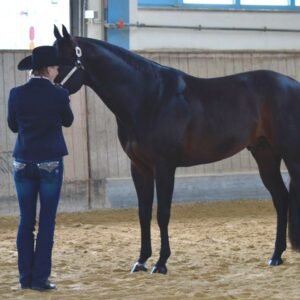 True-Prince-of-Blues_BSC-2015-3