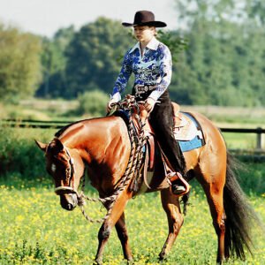 Vocation-to-Pleasure-wiese