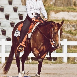 powers-mona-lisa-geritten